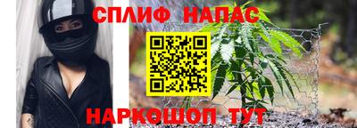 спиды Гагарин
