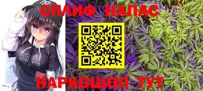 спиды Гагарин
