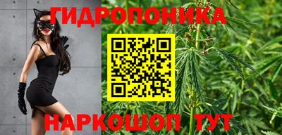 кокаин Гай