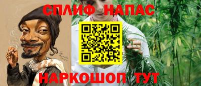 спиды Гагарин
