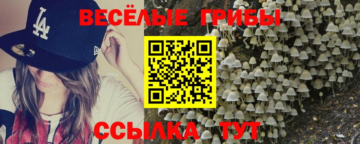 Псилоцибиновые грибы GOLDEN TEACHER Мценск